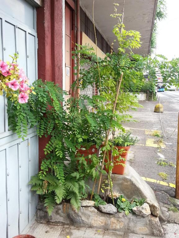 Hotel Lombardia Seveso Rom bilde